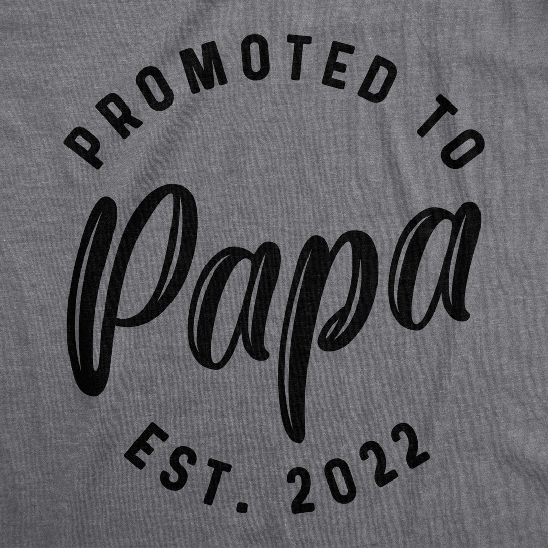 Crazy Dog Mens Promoted To Papa 2024 2023 2022 Graphic T Shirt Funny Baby Family Tee Image 2