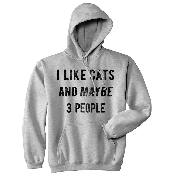 I Like Cats And Maybe 3 People Hoodie Funny Cat Saying Animal Lover Sweatshirt Image 1