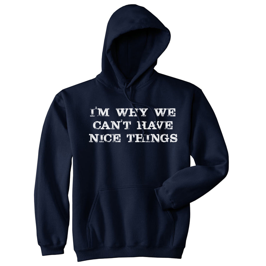 Im Why We Cant Have Nice Things Funny Mocking Unisex Pull Over Hoodie Image 1