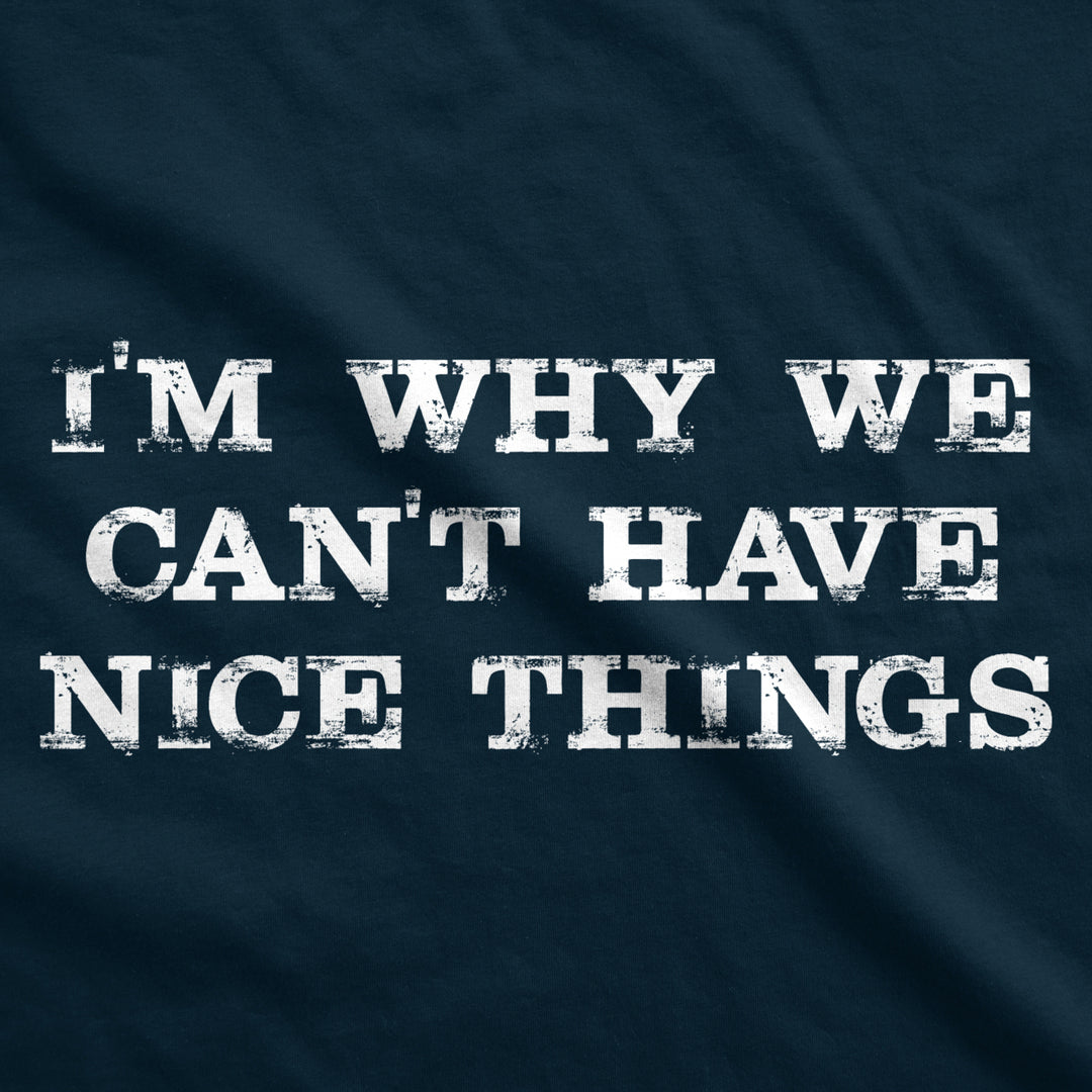 Im Why We Cant Have Nice Things Funny Mocking Unisex Pull Over Hoodie Image 2