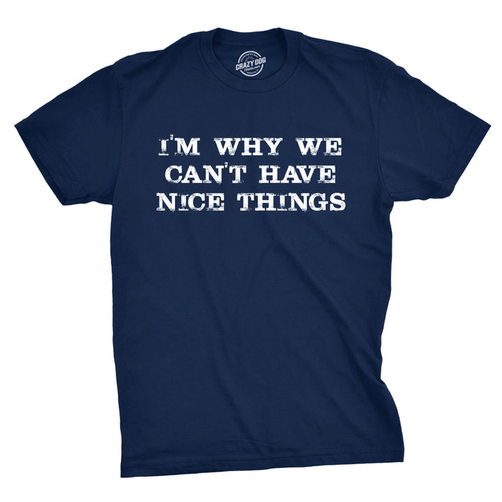 Im Why We Cant Have Nice Things T Shirt Funny Sarcastic Humor Quote Image 1