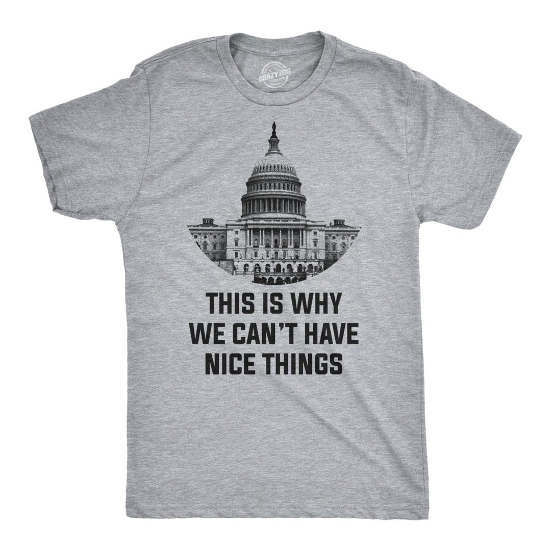 This Is Why We Cant Have Nice Things T Shirt Funny Anti Capitol Political Tee Image 1