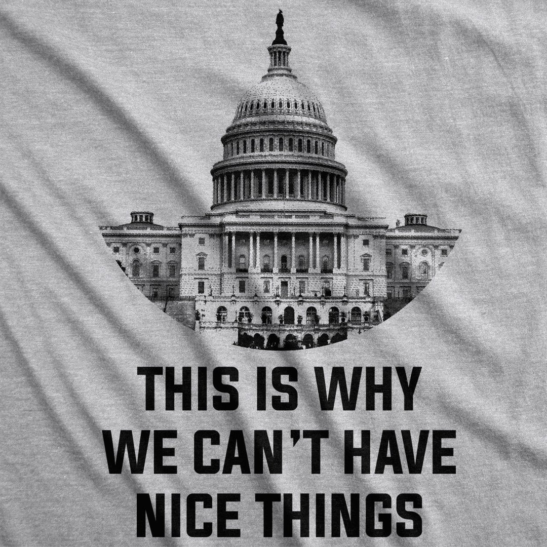 This Is Why We Cant Have Nice Things T Shirt Funny Anti Capitol Political Tee Image 2