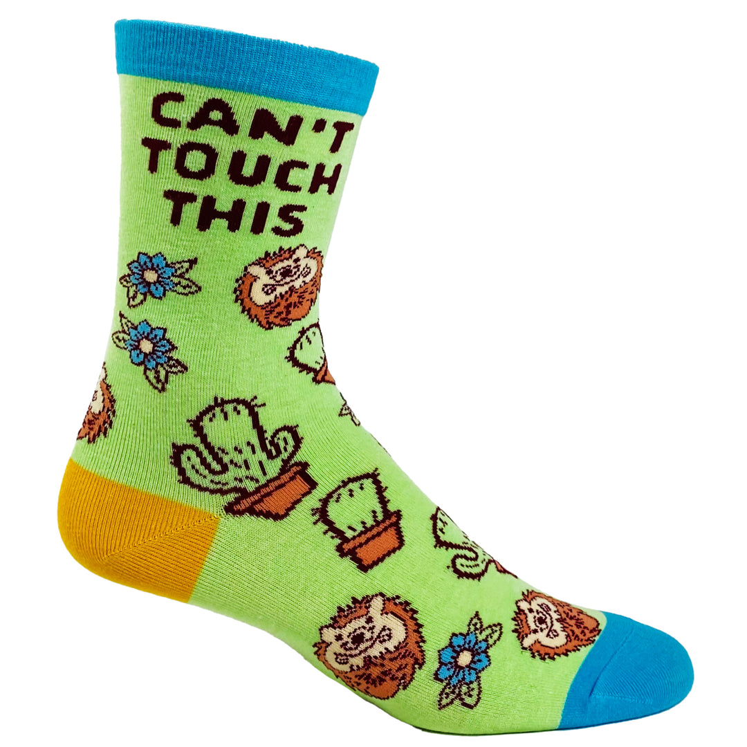 Youth Cant Touch This Socks Funny Sharp Cactus Hedgehog Graphic Sarcastic Footwear Image 6