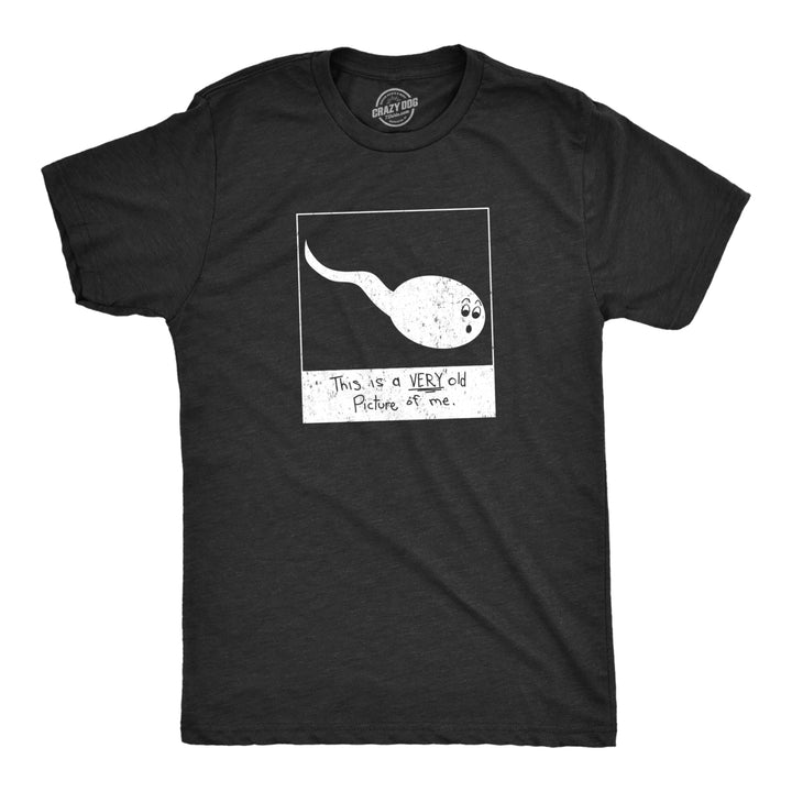 Mens This Is A Very Old Picture Of Me Tshirt Funny Sarcastic Sperm Graphic Tee Image 1