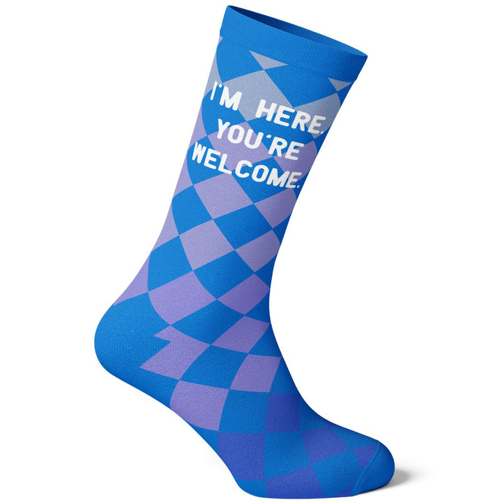 Mens Im Here Youre Welcome Socks Funny Sarcastic Rude Checkered Footwear Image 4