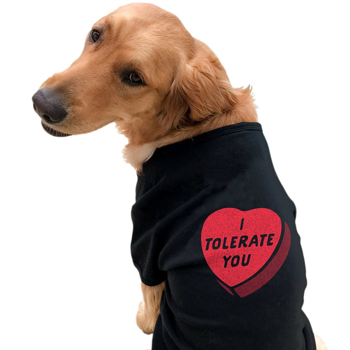 I Tolerate You Dog Shirt Funny Sarcastic Valentines Day Candy Heart Graphic Image 3