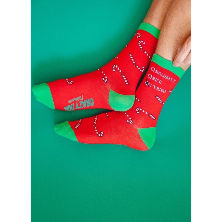 Mens Naughty Nice I Tried Socks Funny Christmas List Good Bad Graphic Footwear Image 6