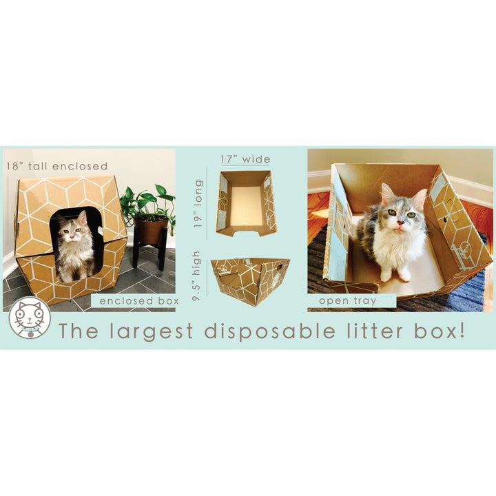 Cats Desire Biodegradable Disposable Litter Boxes Extra Large 3 Pack USA Made Image 7