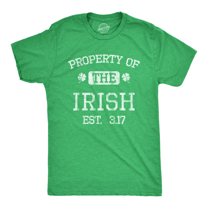 Mens Property Of The Irish T Shirt Funny St Patricks Day Cool Saint Paddy Tee Outfit Graphic Image 1