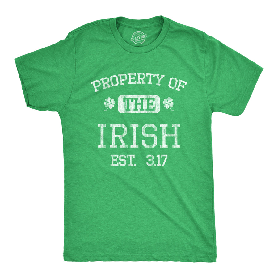 Mens Property Of The Irish T Shirt Funny St Patricks Day Cool Saint Paddy Tee Outfit Graphic Image 1