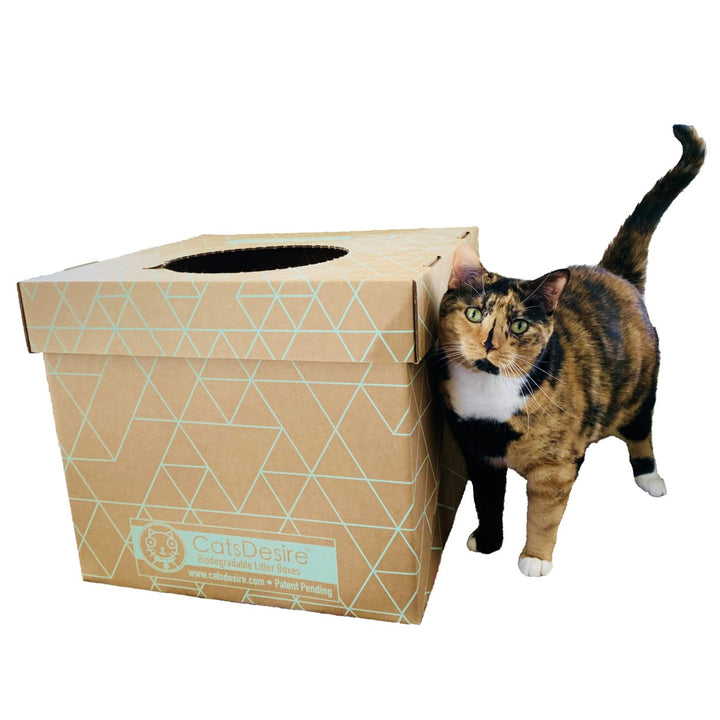 Cats Desire Disposable Biodegradable Top-Side Entry Litter Boxes Image 7