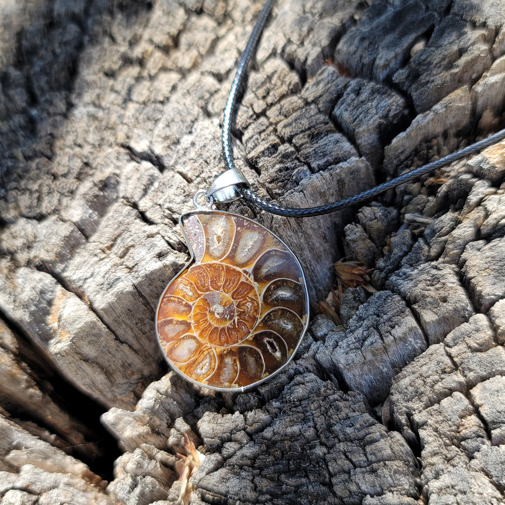 Natural spotted snail fossil retro vintage pendant necklace MAIXL009 Image 2