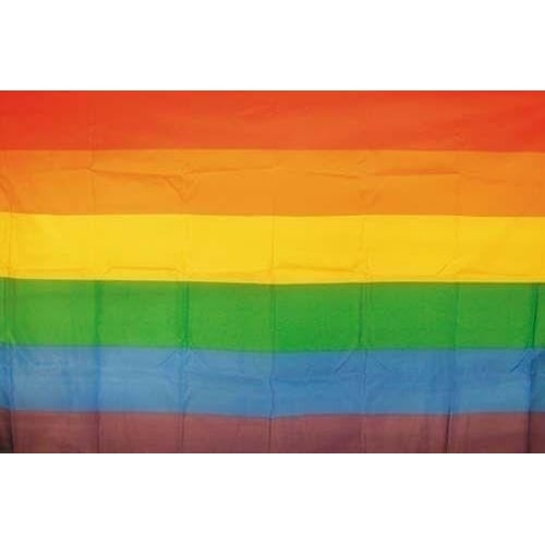 RAINBOW 3 X 5 FLAG banner decorate novelty display Image 1