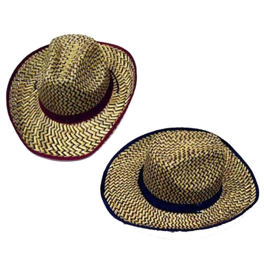 12 COLORED ZIG ZAG STRAW COWBOY HAT #111 wholesale bulk lot unisex western hats Image 1