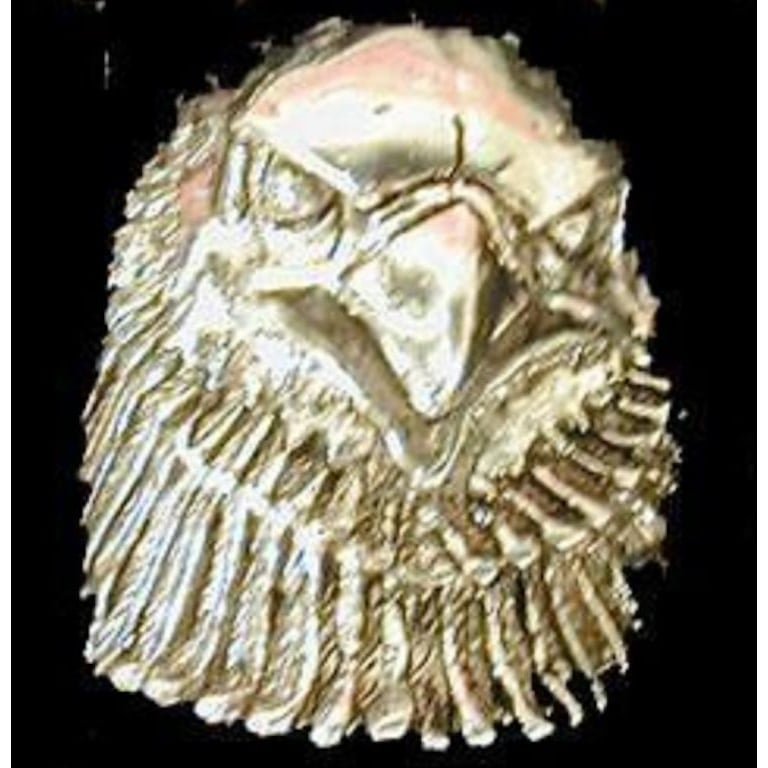 DELUXE LARGE LOOKING EAGLE HEAD SILVER BIKER RING BR175 mens RINGS jewelry Image 1