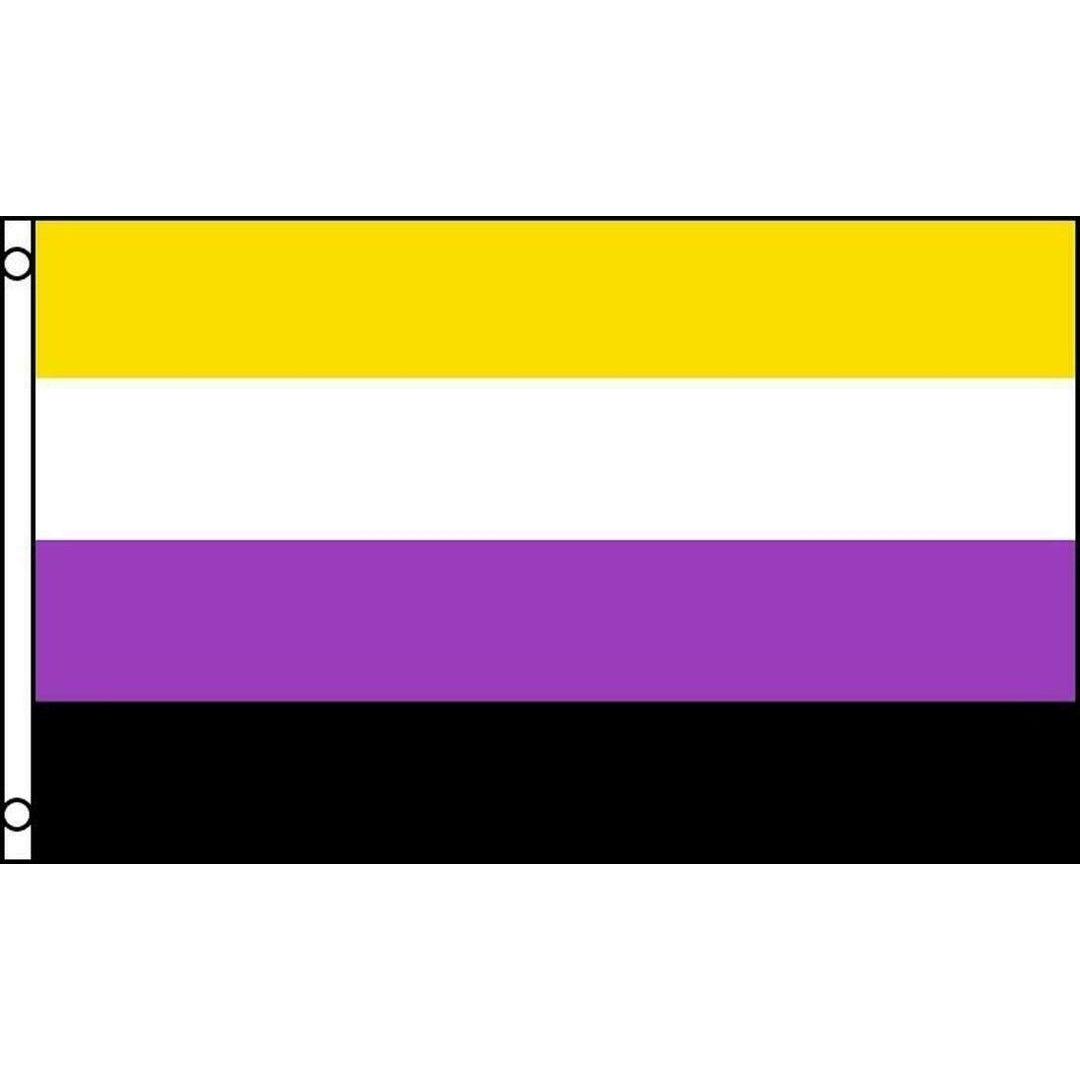 NON-BINARY GENDER rainbow 3 X 5 FLAG FL751 banner wall hanging decoration Image 1