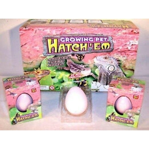 4 HATCHEM GROWING LIZARD EGGS toy grow hatch novelty Image 1