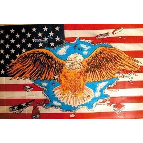 AMERICAN FLYING EAGLE 3 X 5 FLAG usa patriot collect display 281 breaking thur Image 1