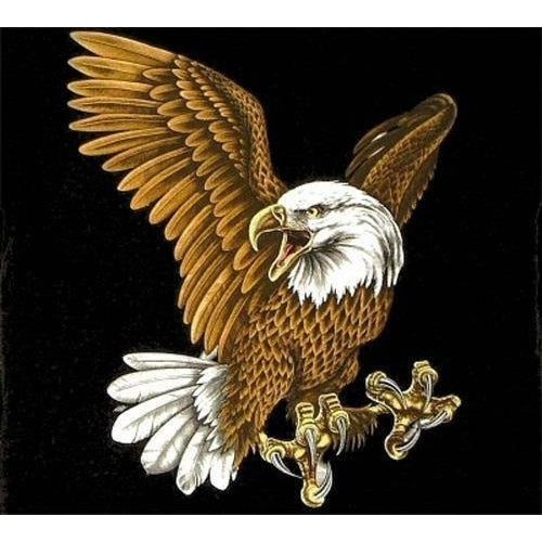LANDING FLYING BIG EAGLE BLACK TEE SHIRT SIZE XXL adult T316 tshirt eagles Image 1