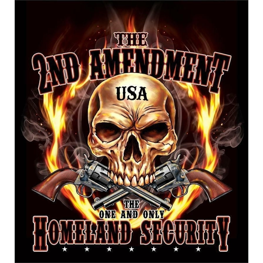 2ND AMENDMENT HOMELAND SECURITY size M TEE SHIRT TS304 gun BLACK TSHIRT unisex Image 1