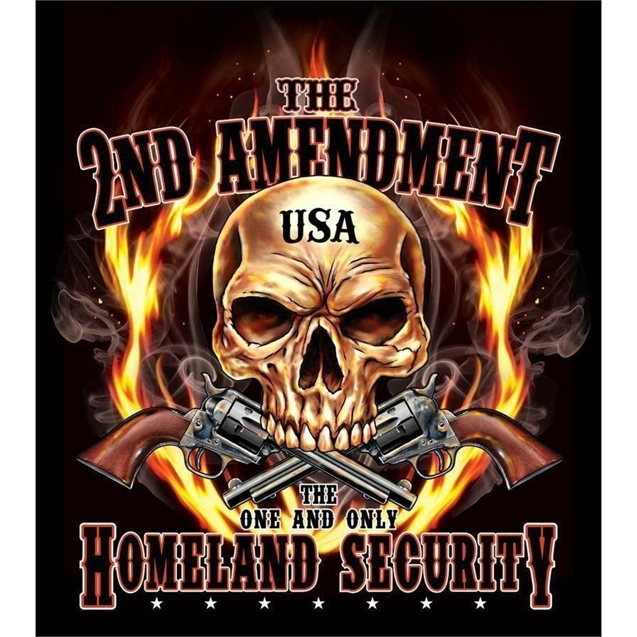 2ND AMENDMENT HOMELAND SECURITY size L TEE SHIRT TS304 gun BLACK TSHIRT unisex Image 1