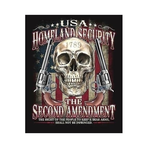 2ND AMENDMENT GUN CONTOL RIGHTS LG TEE SHIRT TS302 gun homeland  security Image 1