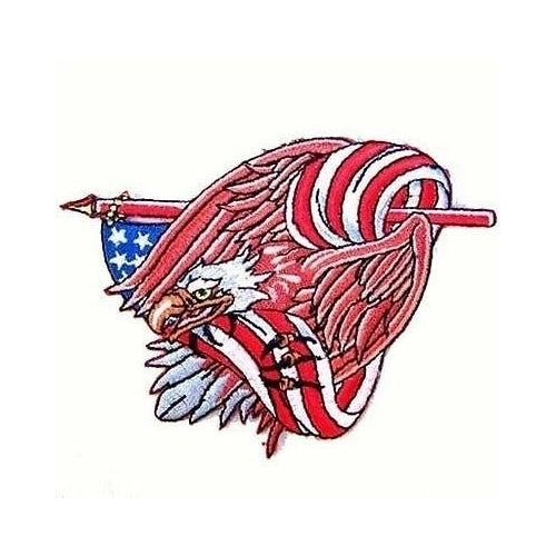 EAGLE IN FLAG EMBRODIERED PATCH jacket biker P496 BIKE bikers novelty patches Image 1