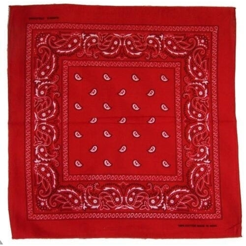 24 pack ASSORTED COLORS PAISLEY BANDANA headband HANKERCHIEF wrap bandanas Image 2