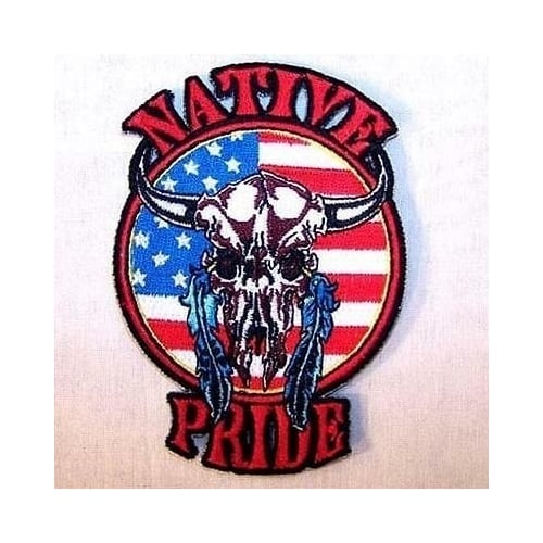 NATIVE PRIDE USA COW SKULL EMBRODIERED PATCH biker P537 novelty biker patches Image 1