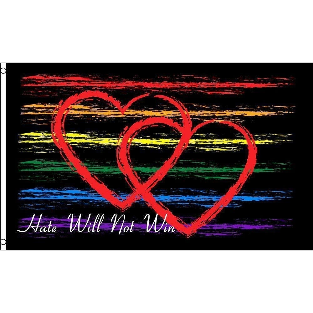 HATE WILL NOT WIN rainbow 3 X 5 FLAG FL750 banner wall hanging decoration Image 1