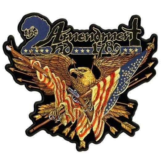 LARGE 6 IN 2nd AMENDMENT 1789 EAGLE PATCH JBP74 biker LARGE JACKET patches GUNS Image 1