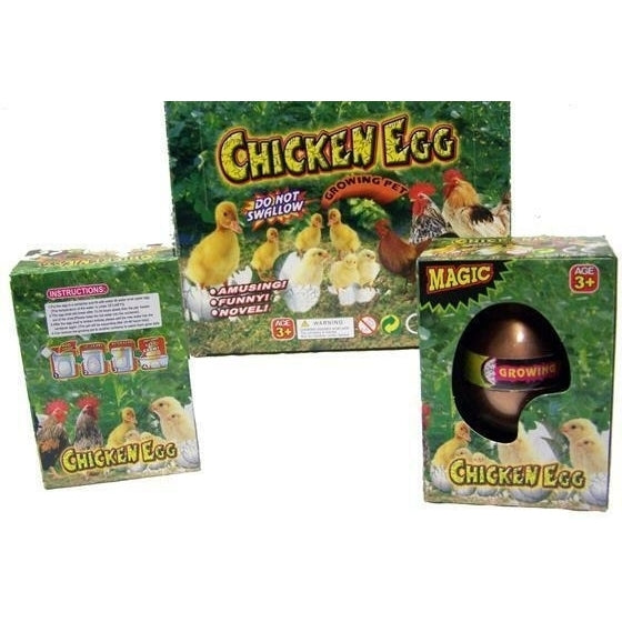 2 CHICKEN WATCH THEM HATCH and GROW EGGS novelty growing JUST ADD WATER magic EGG Image 1