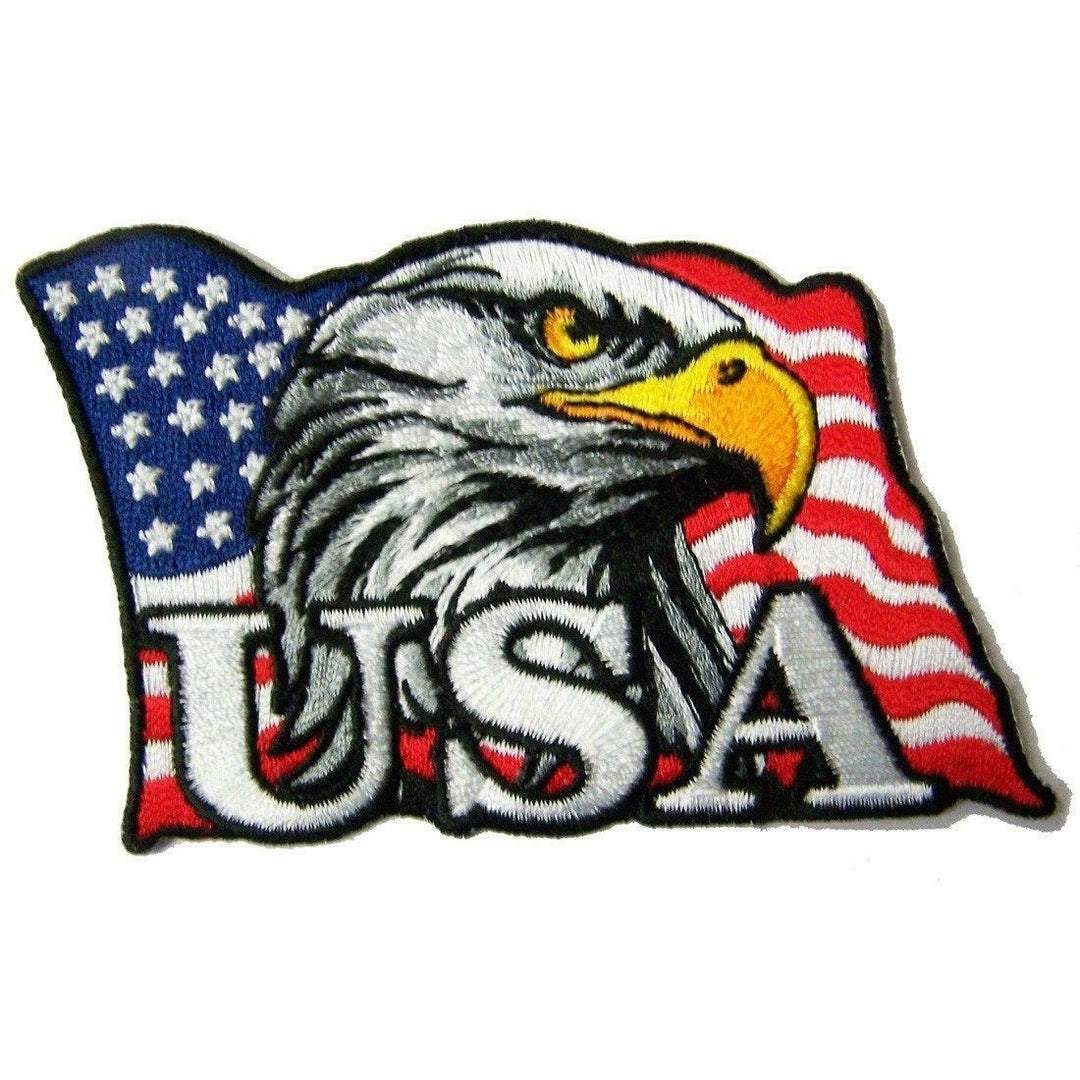 EAGLE HEAD AMERICAN FLAG EMBROIDERED PATCH PA8010 biker iron on patches Image 1