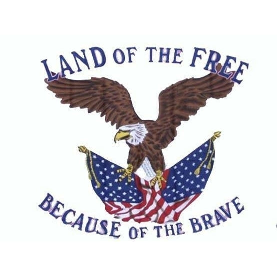 LAND OF THE FREE EAGLE 3X5 FLAG 3 X 5  FL690 wall hanging BECAUSE OF BRAVE Image 1