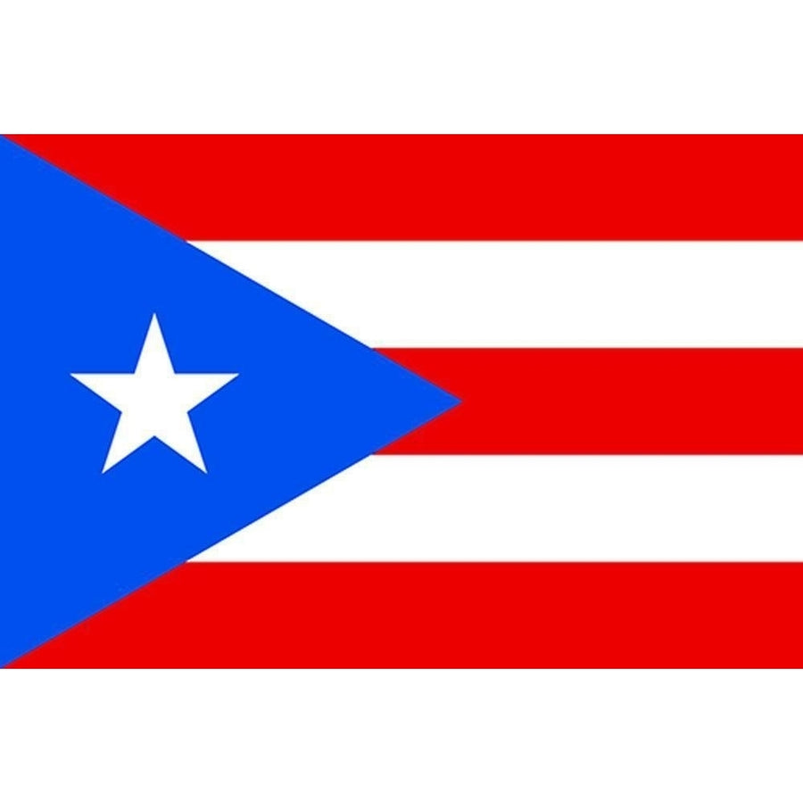 large PUERTO RICO 3X5 COUNTRY FLAG banner signs FL204 Polyester double sided Image 1