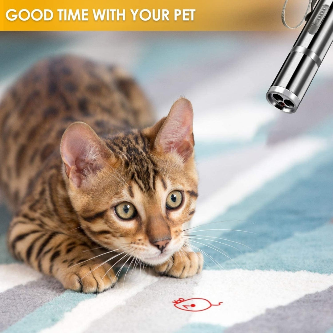 Cat Laser Pointer Red Light Pointer Pet Interactive Toy for Cats and Dogs with 3 Modes and USB Recharge Image 3