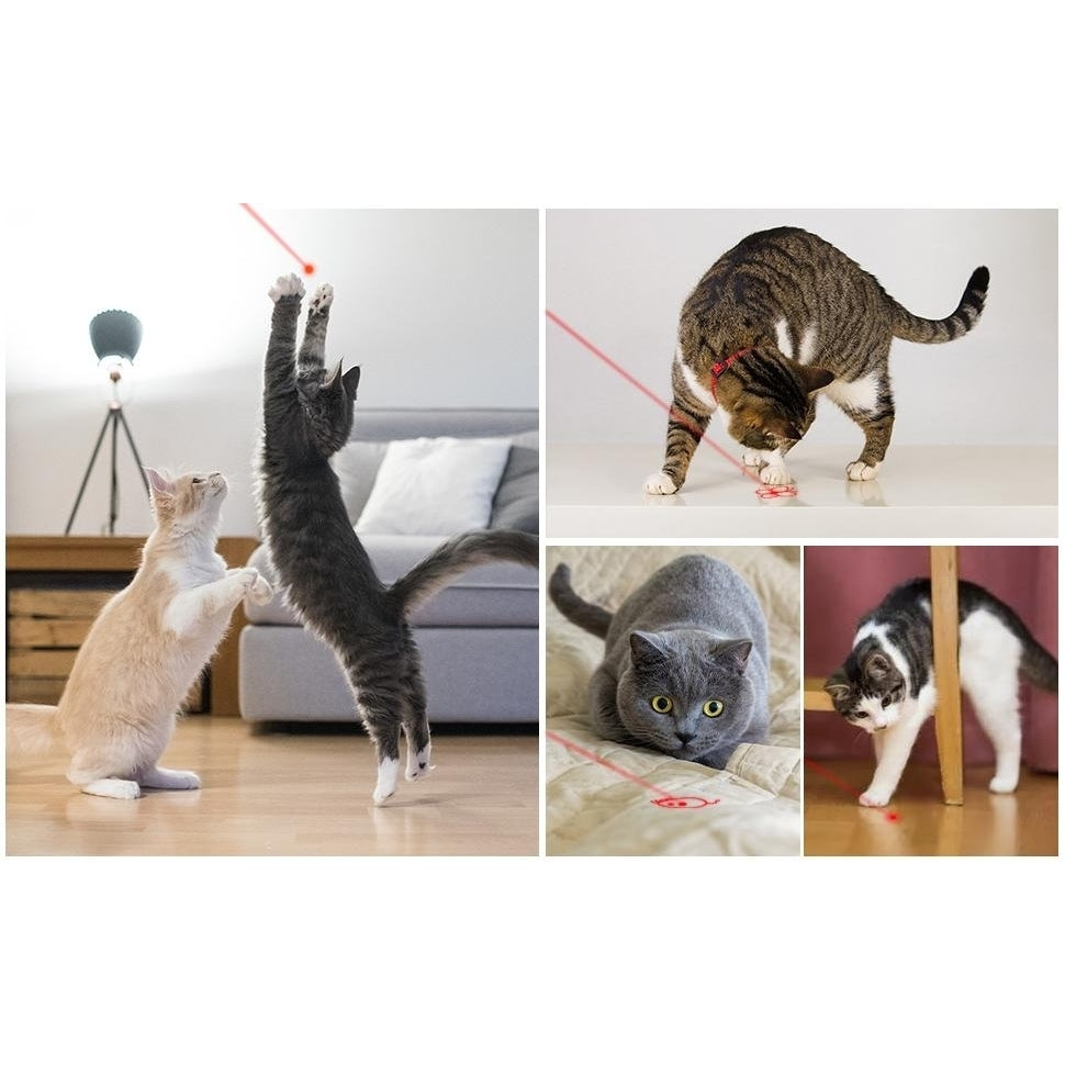 Cat Laser Pointer Red Light Pointer Pet Interactive Toy for Cats and Dogs with 3 Modes and USB Recharge Image 6