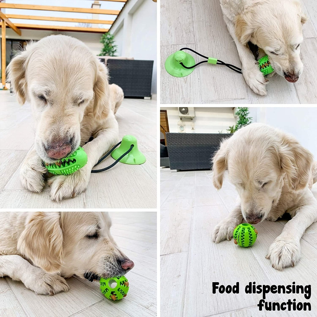 Suction Cup Dog Toy Chews - Durable Rubber Multifunctional Rope Food Dispensing Bite Toy with Suction Cup and Play IQ Image 6