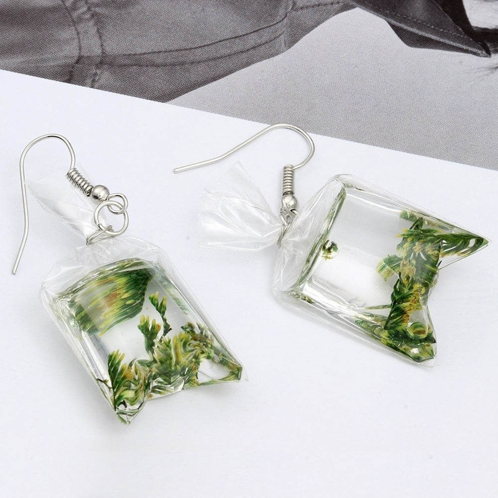 Creative Dried Flowers Water Bag Drop Earrings Women Ear Hooks Jewelry Gift Image 2