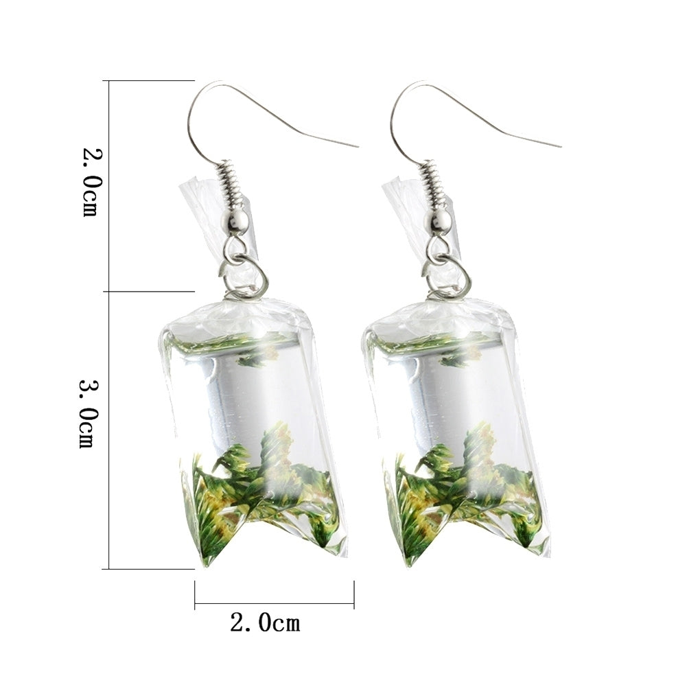 Creative Dried Flowers Water Bag Drop Earrings Women Ear Hooks Jewelry Gift Image 4