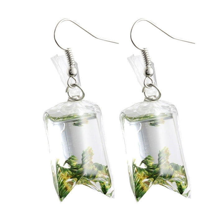 Creative Dried Flowers Water Bag Drop Earrings Women Ear Hooks Jewelry Gift Image 6