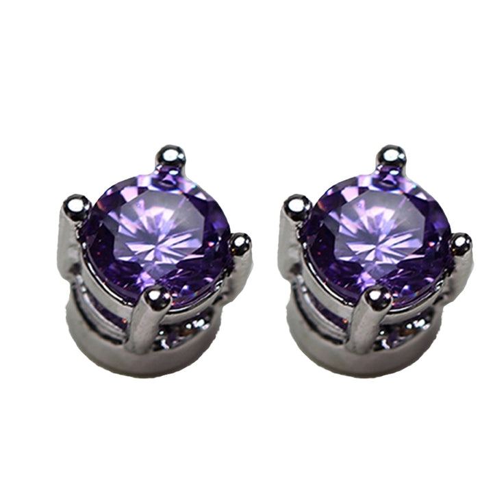 Men Women Rhinestone Inlaid Magnetic Ear Stud Earrings Non Piercing Jewelry Gift Image 4