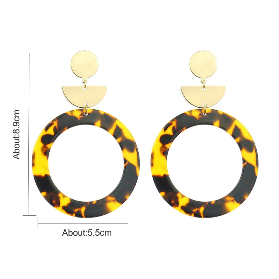 1Pair Earrings Print Elegant Acrylic Women Leopard Drop Earrings for Birthday Party Image 4