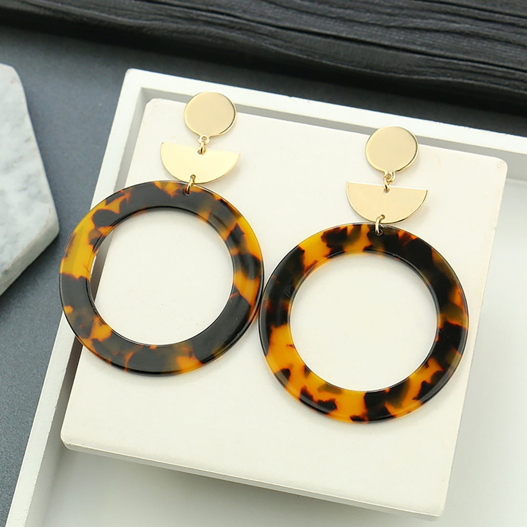 1Pair Earrings Print Elegant Acrylic Women Leopard Drop Earrings for Birthday Party Image 6