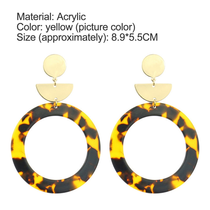 1Pair Earrings Print Elegant Acrylic Women Leopard Drop Earrings for Birthday Party Image 10