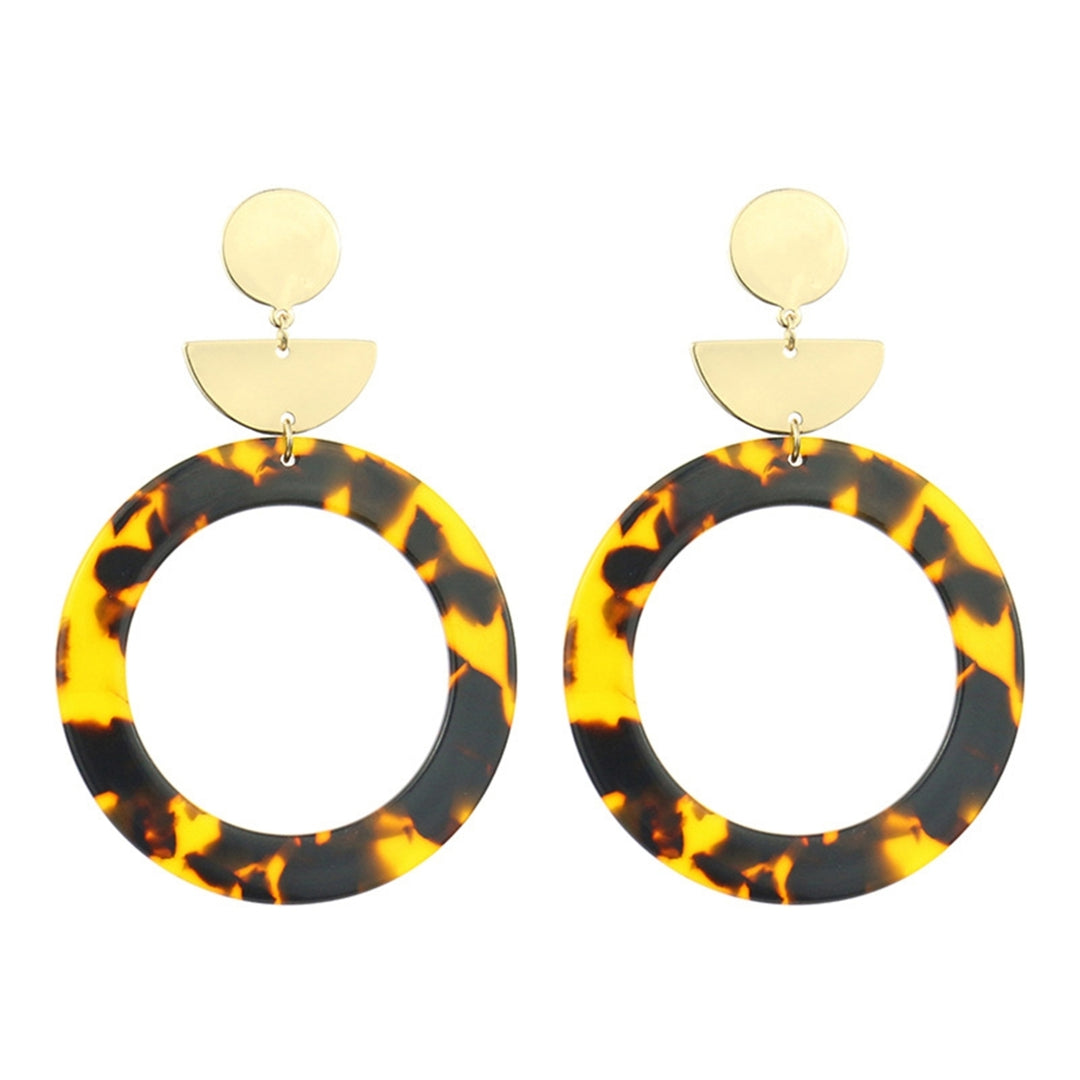 1Pair Earrings Print Elegant Acrylic Women Leopard Drop Earrings for Birthday Party Image 11