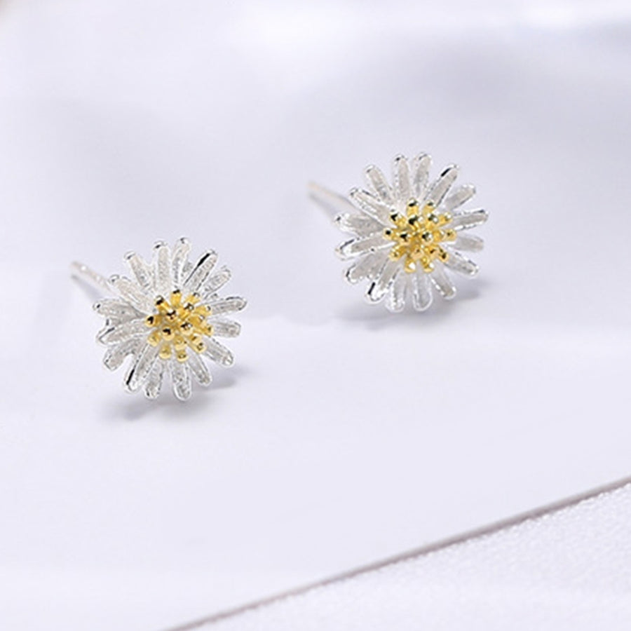 Ear Studs Paired Skin-friendly Silver Plated Adorable Ear Studs for Gift Image 1