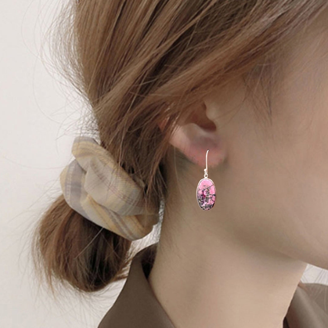 1 Pair Hook Earrings Skin-friendly Rust-proof Alloy Fashion Jewelry Women Earrings for Girl Image 4