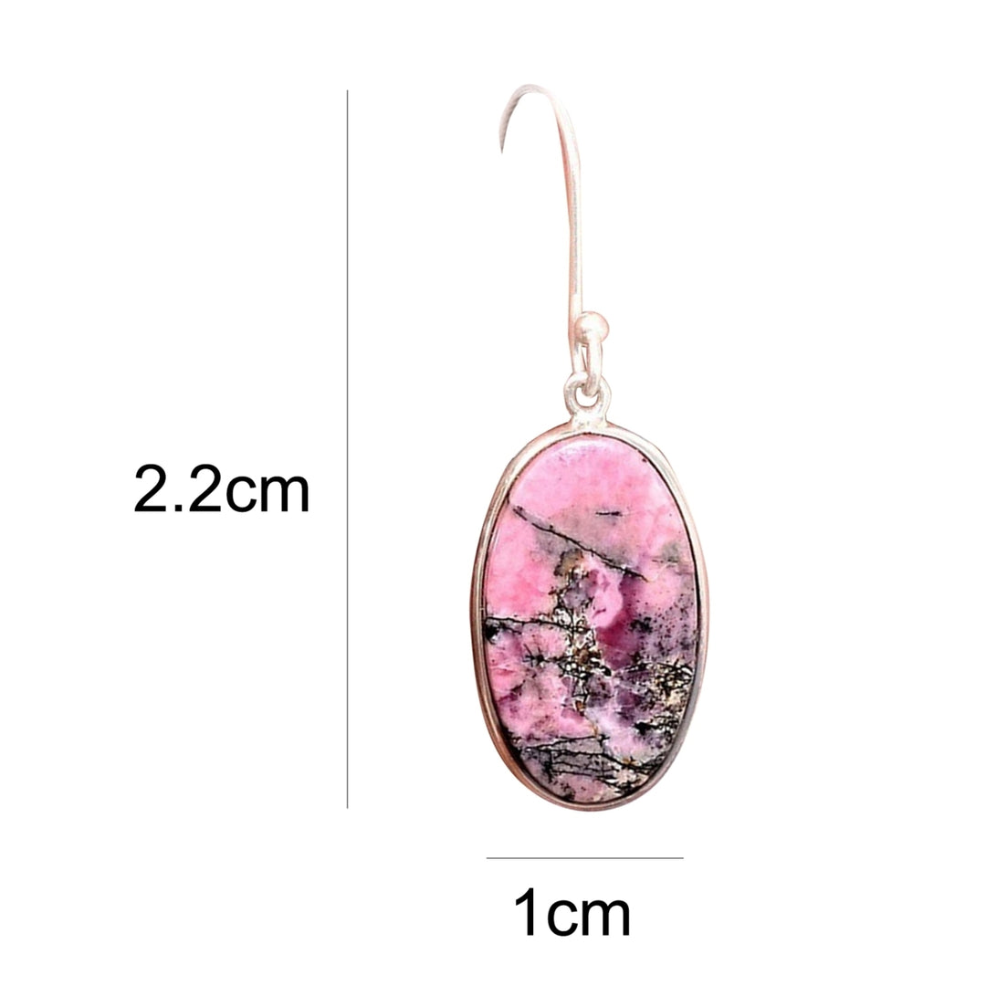 1 Pair Hook Earrings Skin-friendly Rust-proof Alloy Fashion Jewelry Women Earrings for Girl Image 4